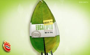 El Mkt de Conciencia